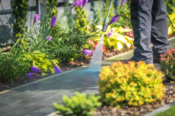 Forest, OH Pressure Washing Services Company