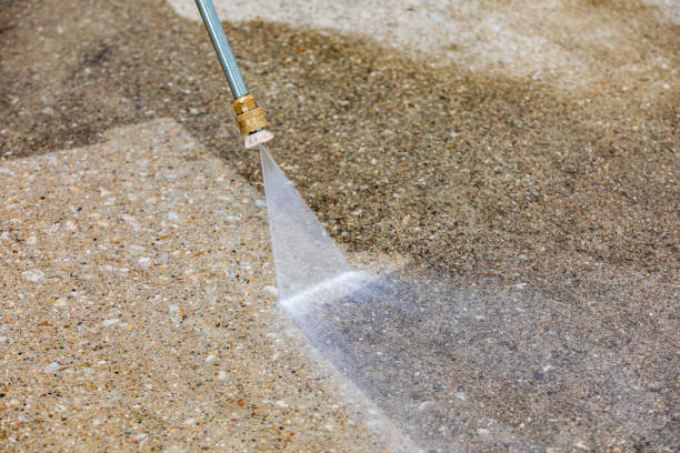 Best Animal Enclosure Cleaning  in Forest, OH