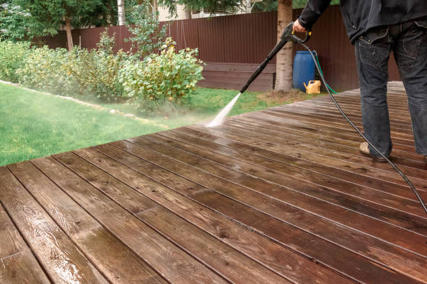 Best Driveway Pressure Washing  in Forest, OH