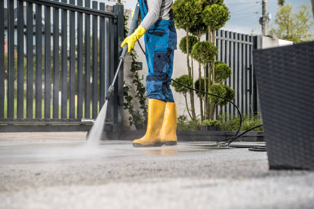 Best Fence Cleaning  in Forest, OH