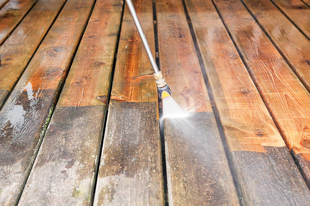 Solar Panel Cleaning in Forest, OH