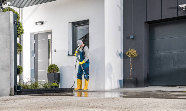 Best Roof Washing  in Forest, OH